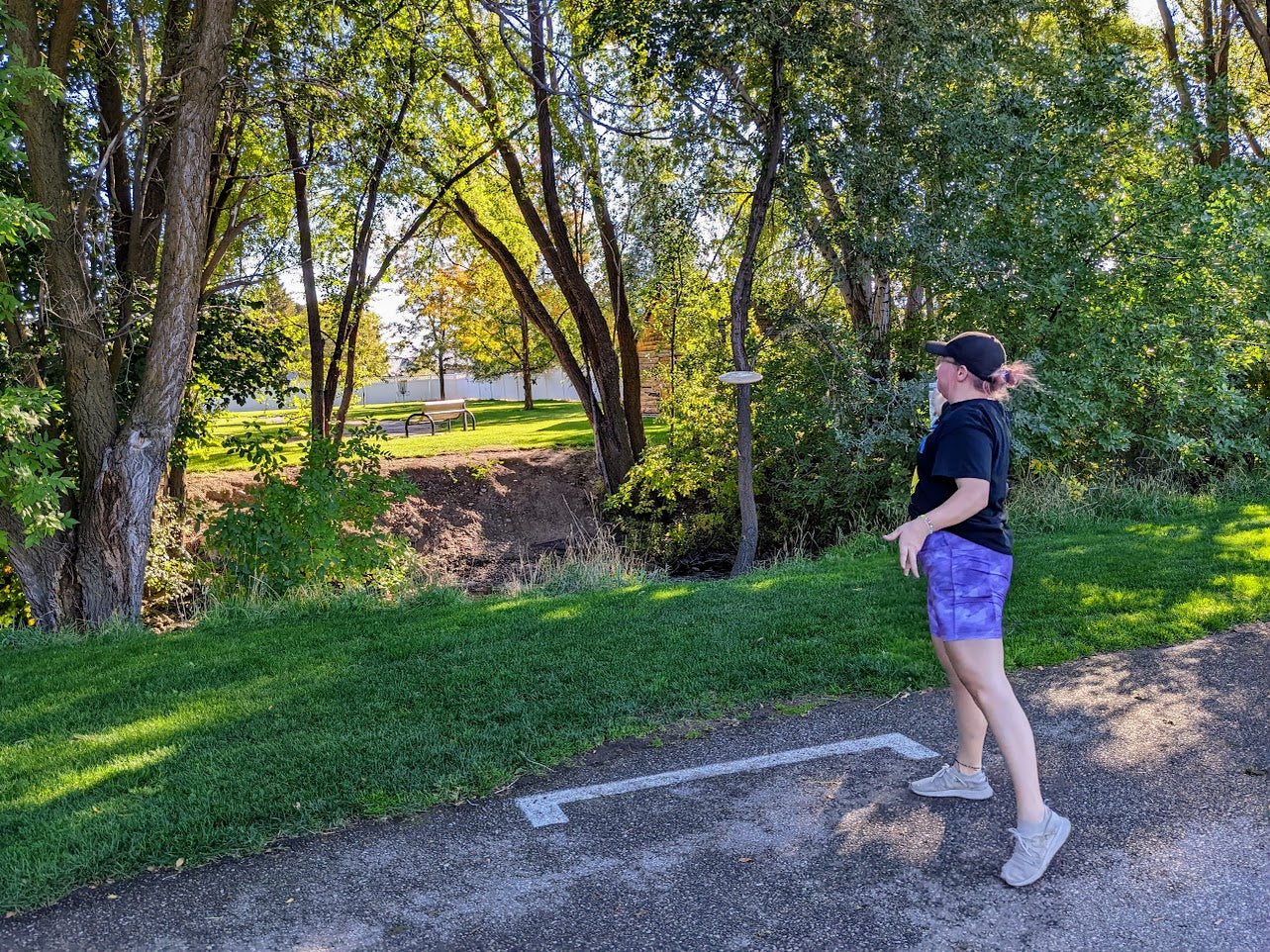 Cheapest Disc Golf Discs Online - Lowest Prices Guranteed!