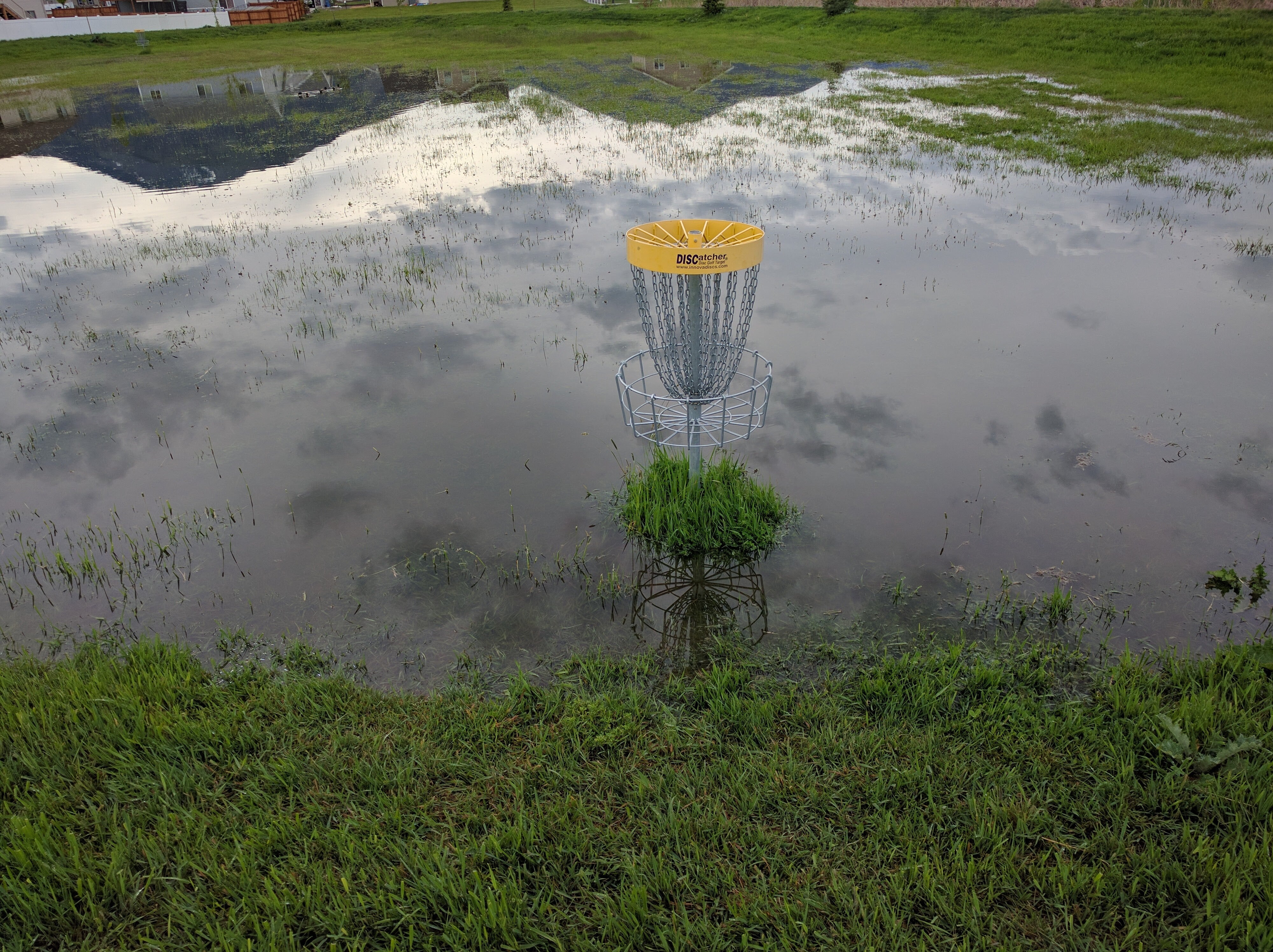 Disc Golf Basket in a body of water