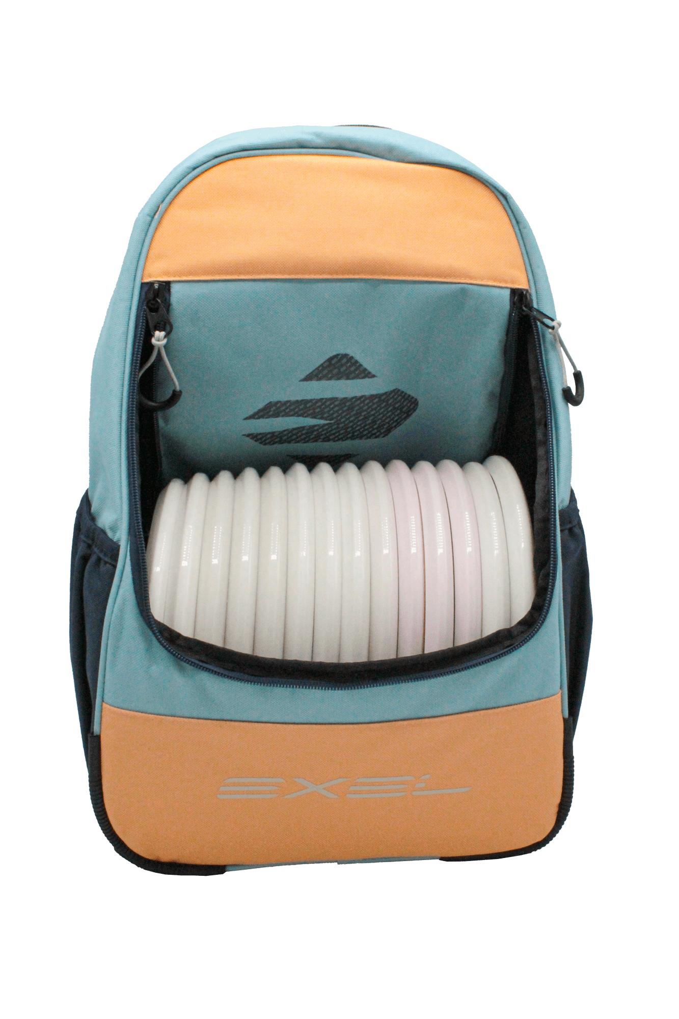 Disc golf bag with discs (E1_5)