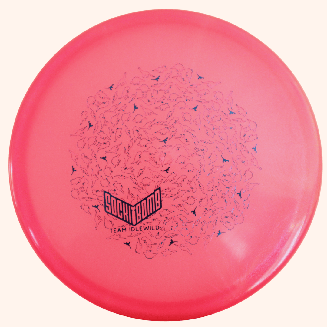 Dynamic Discs Suspect