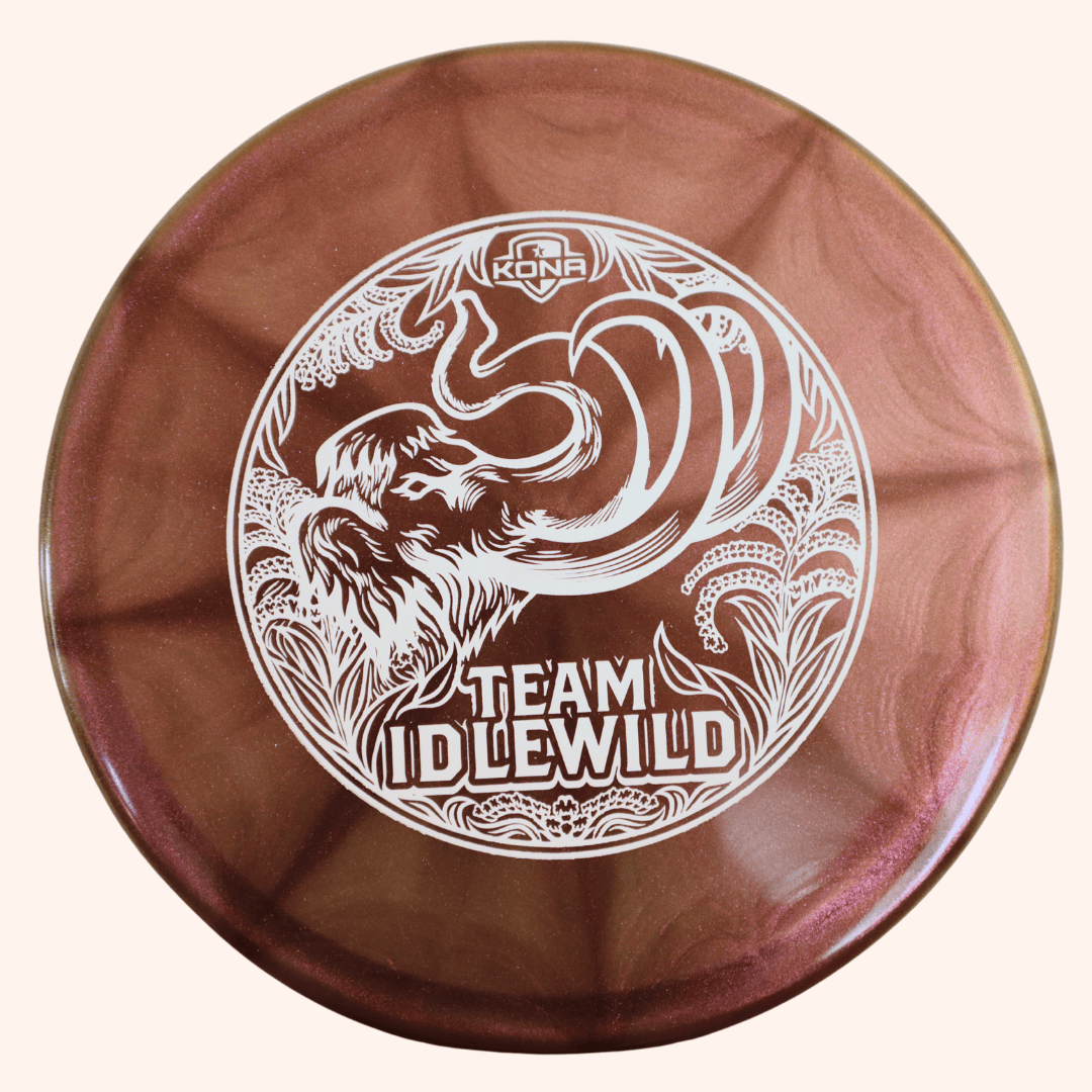 Dynamic Discs Suspect