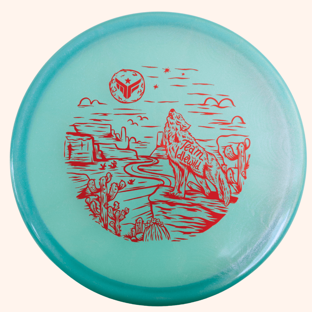 Dynamic Discs Suspect