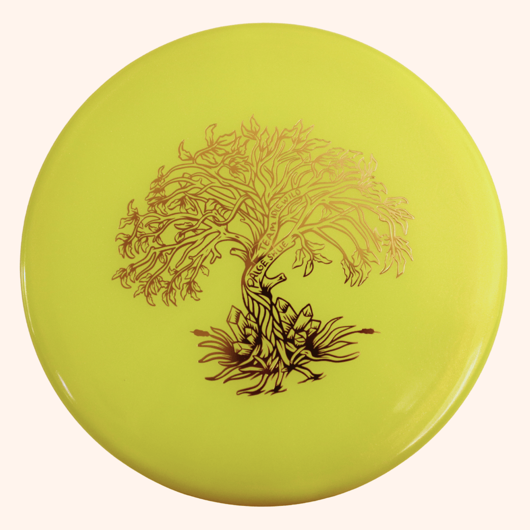 Dynamic Discs Suspect