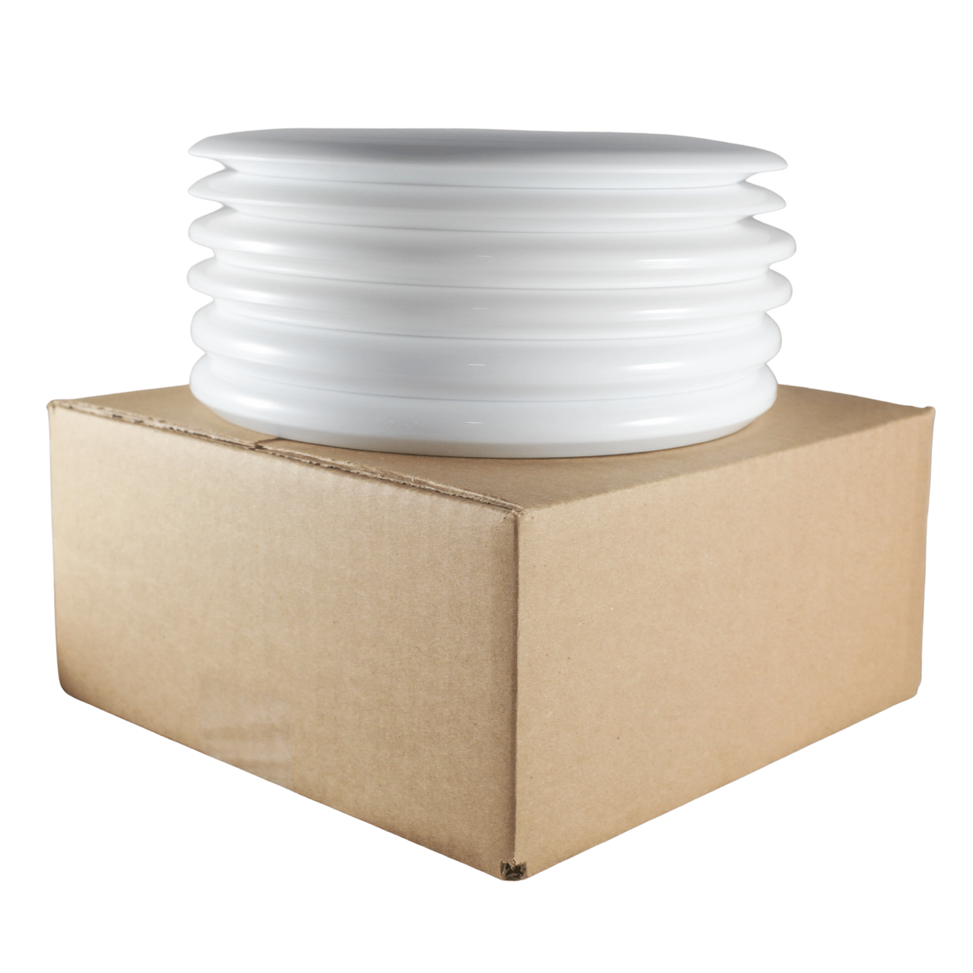 Roman dye pack on cardboard box