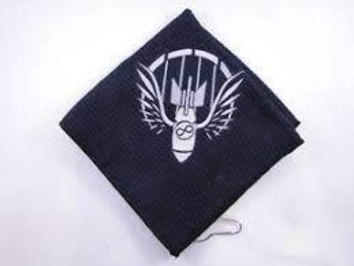 Black cloth with winged bomb design.